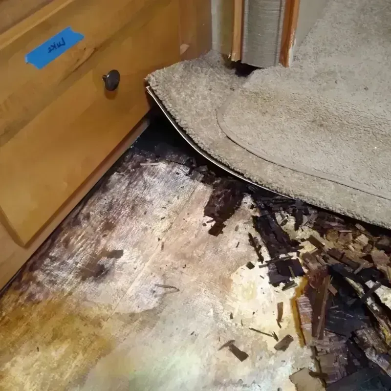 Wood Floor Water Damage in Newton, GA